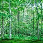 オンライン相談限定特典